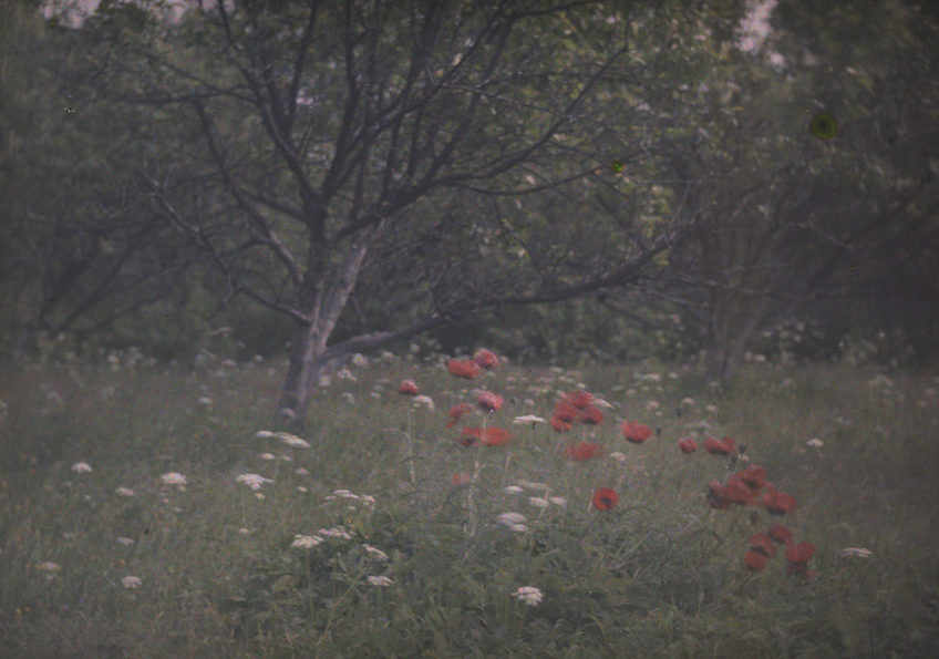 01kp403_009_21000