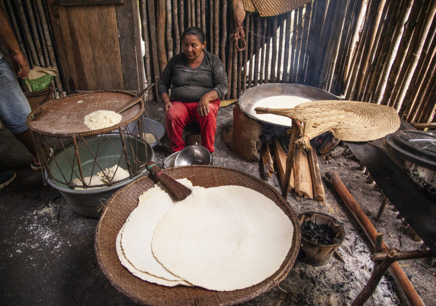 24. Indígena Puinave Prepara Casabe. Comunidad en los Cerros de Mavicure, Guainía 1